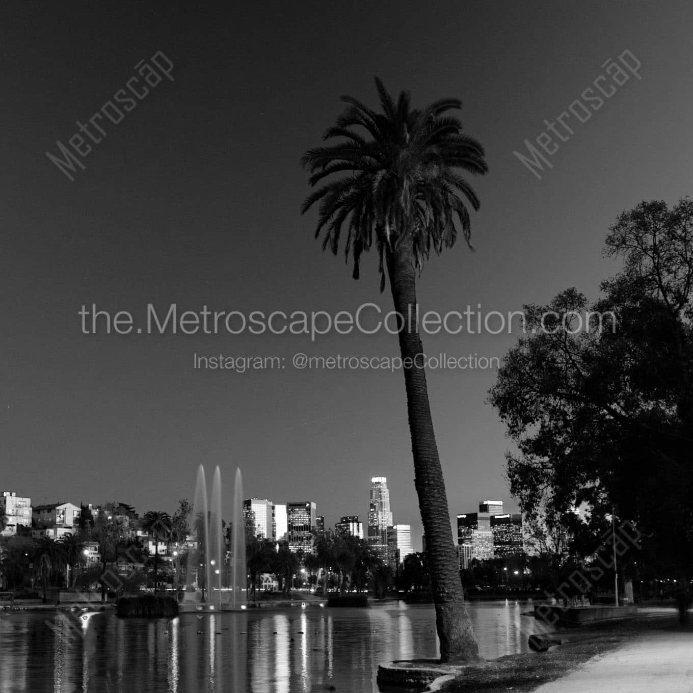 lone palm tree echo park los angeles skyline Black & White Office Art