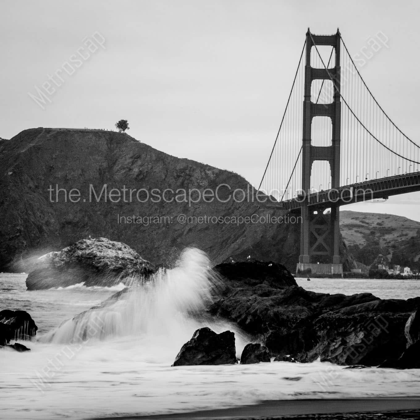 lone tree overlooks golden gate bridge Black & White Office Art