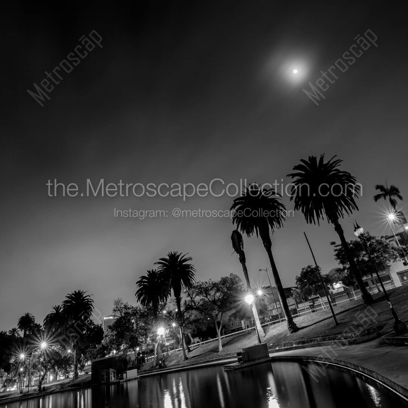 macarthur park at night Black & White Office Art