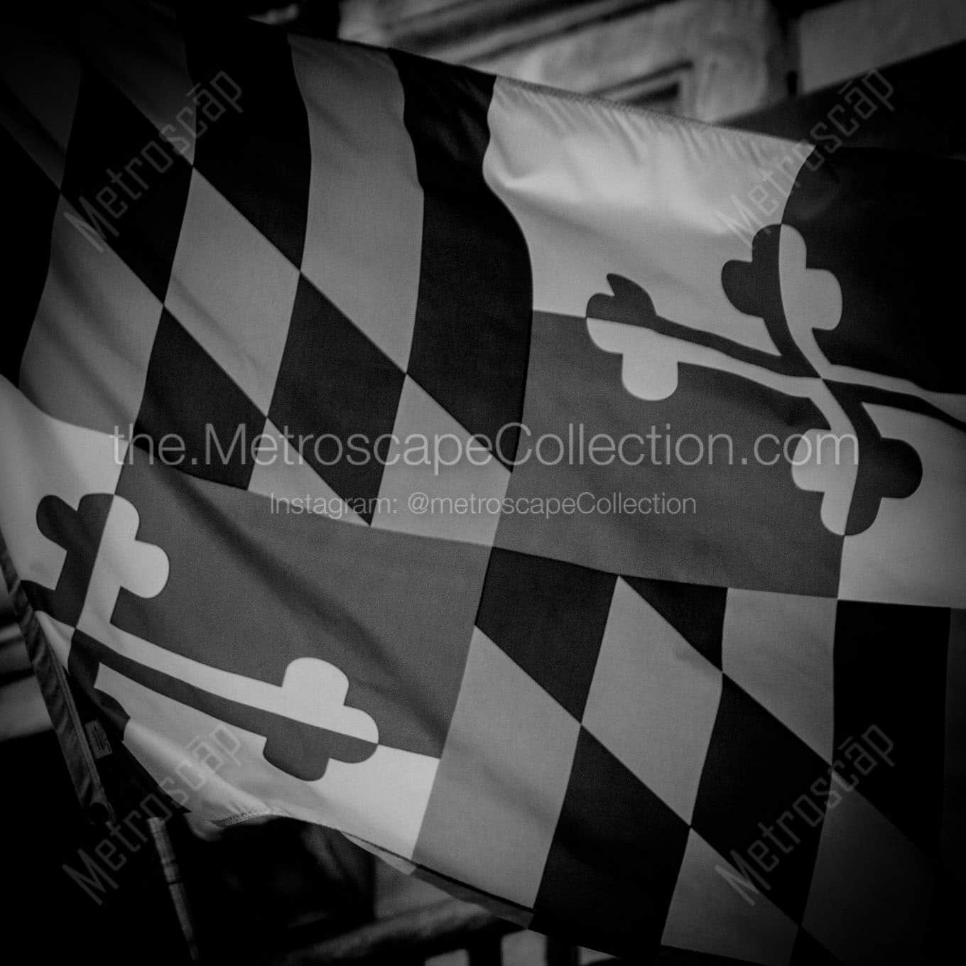 maryland flag baltimore city hall Black & White Office Art