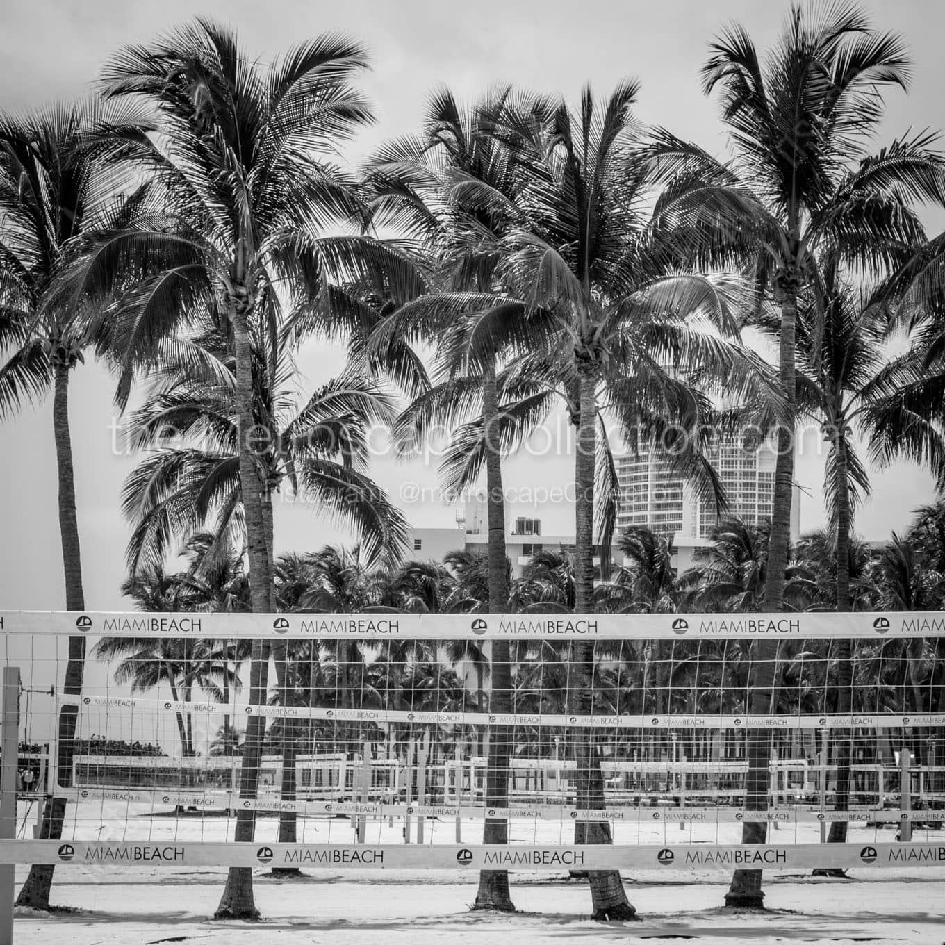 miami beach volleyball nets Black & White Office Art