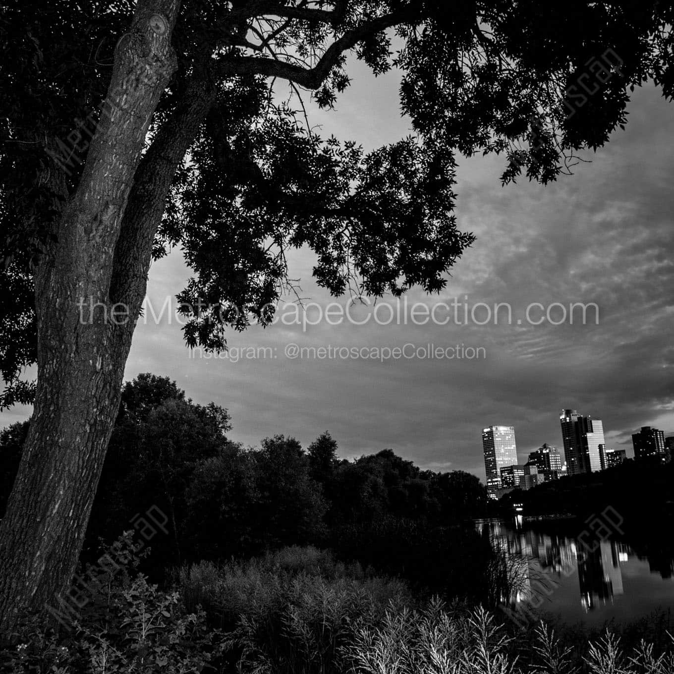 milwaukee skyline from mckinley park Black & White Office Art