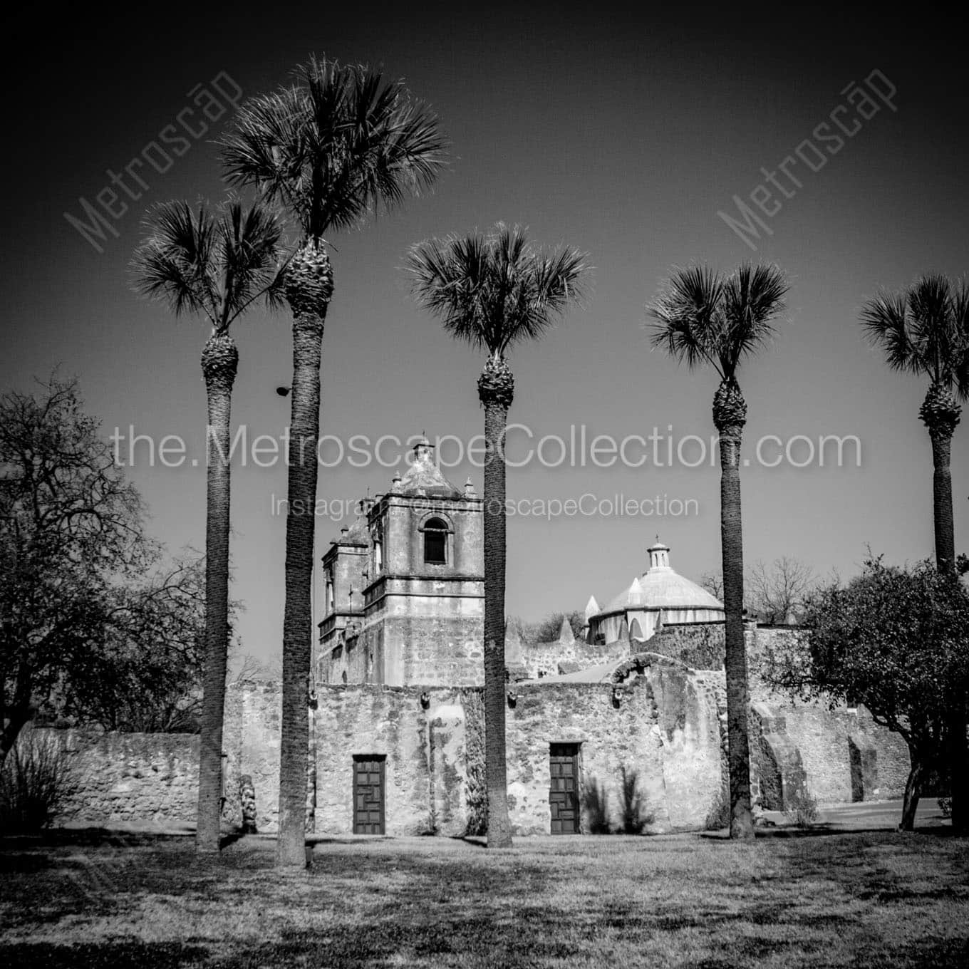 mission conception Black & White Wall Art