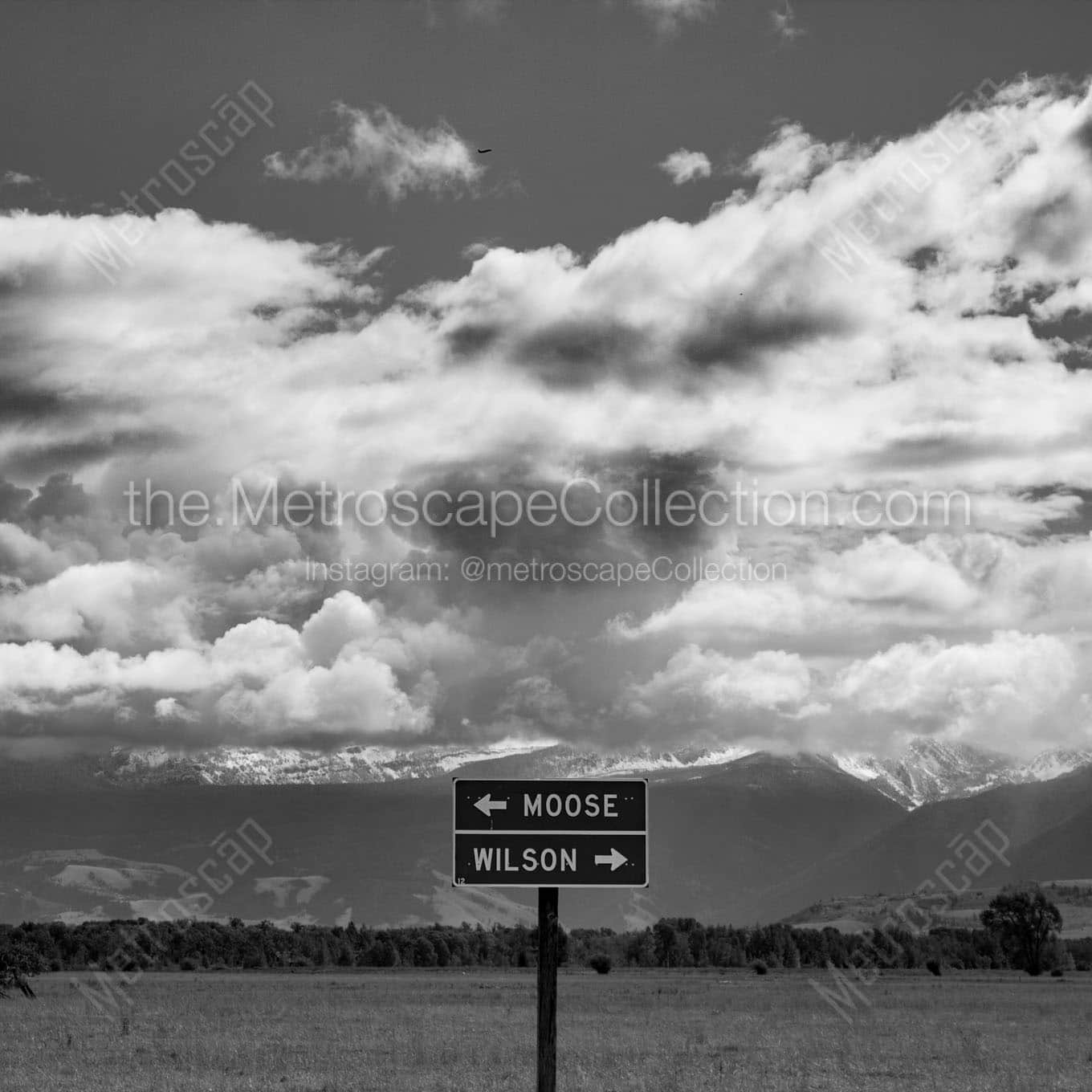 moose wyoming sign Black & White Office Art