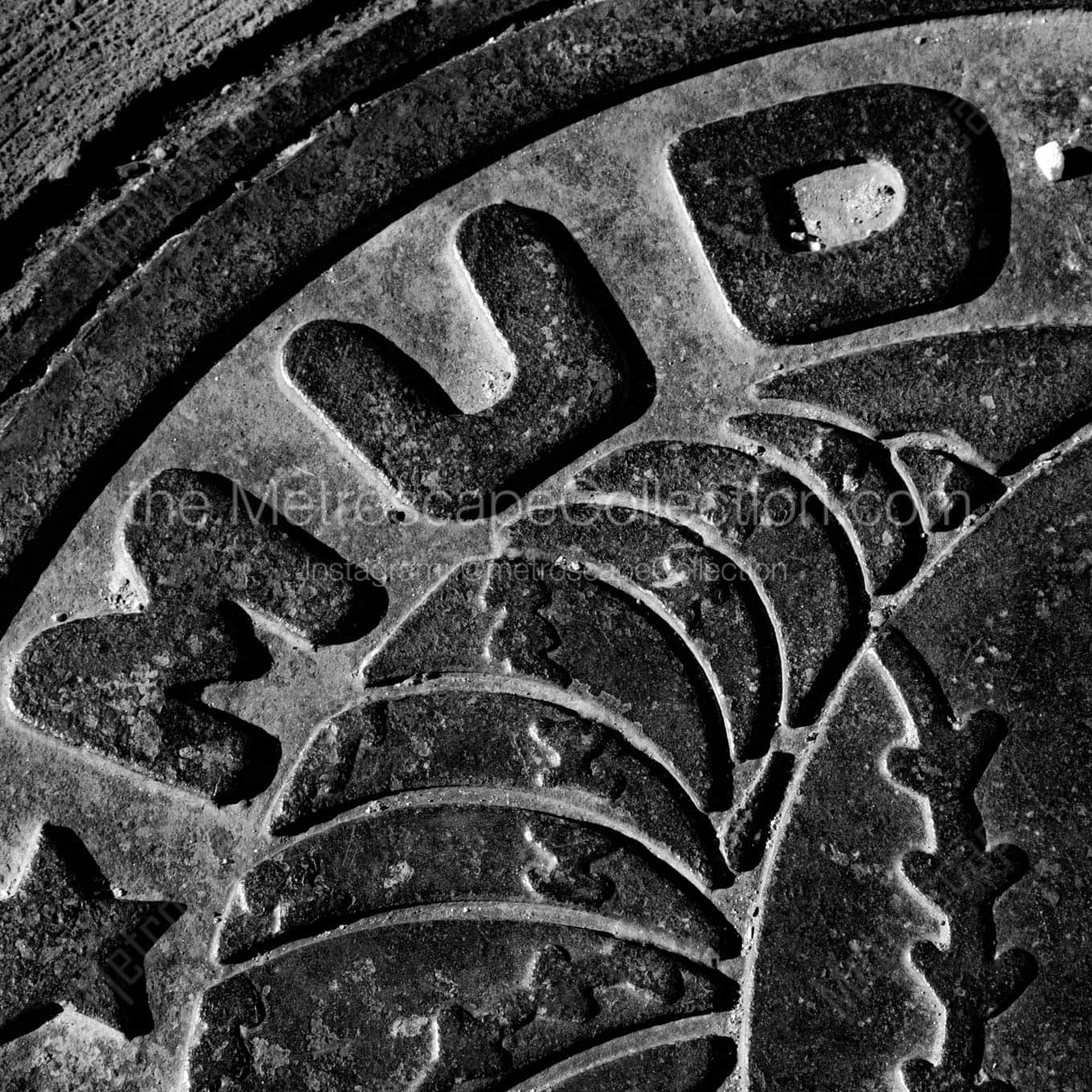 mudhens manhole cover Black & White Office Art