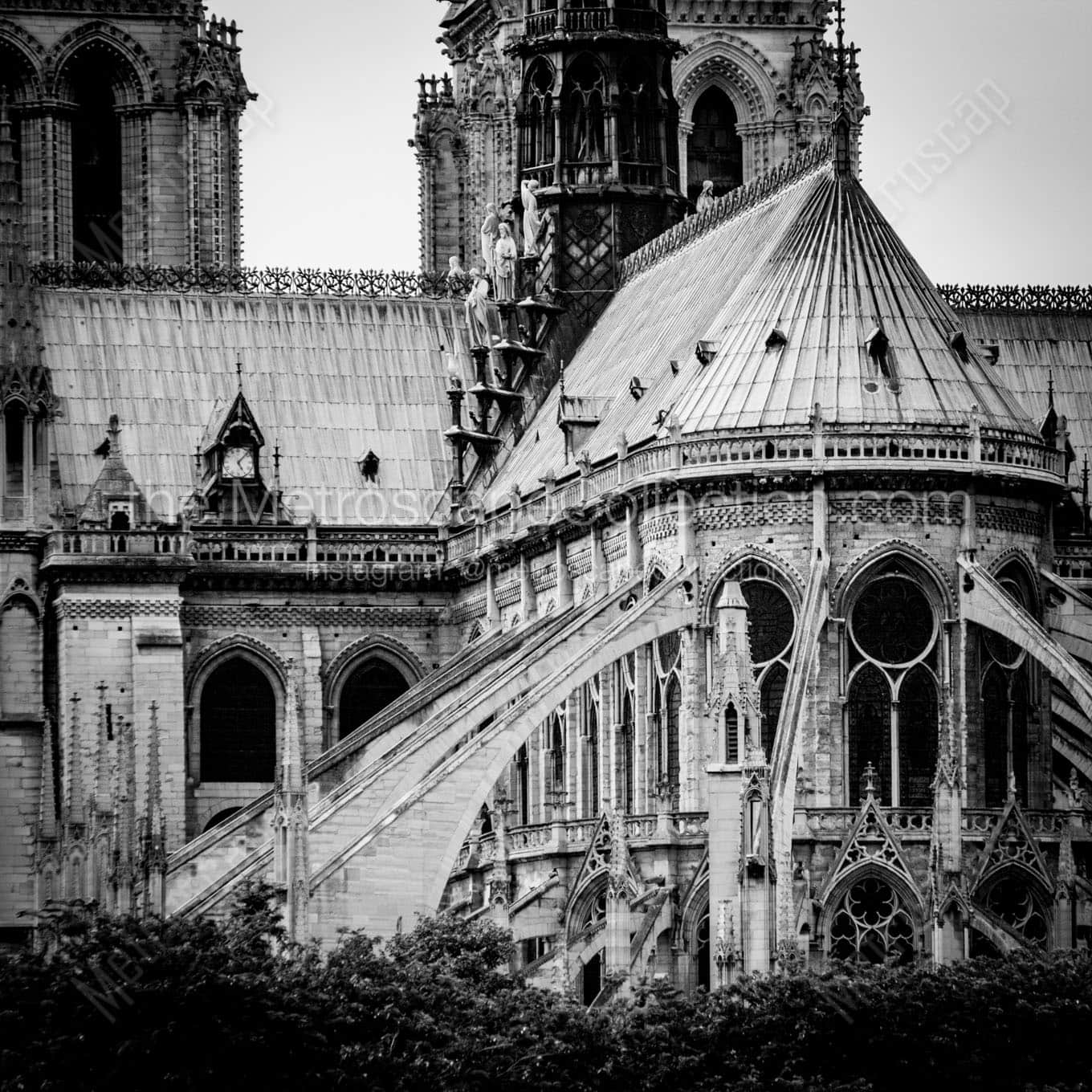 notre dame de paris Black & White Office Art