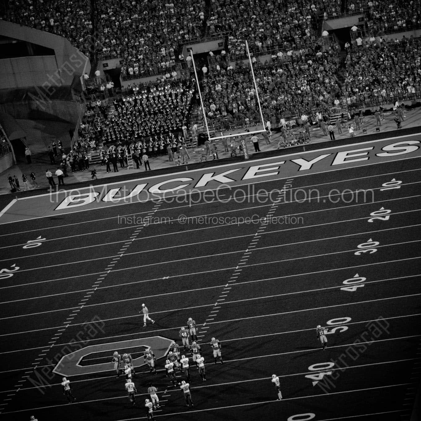 ohio state buckeyes home opener Black & White Office Art