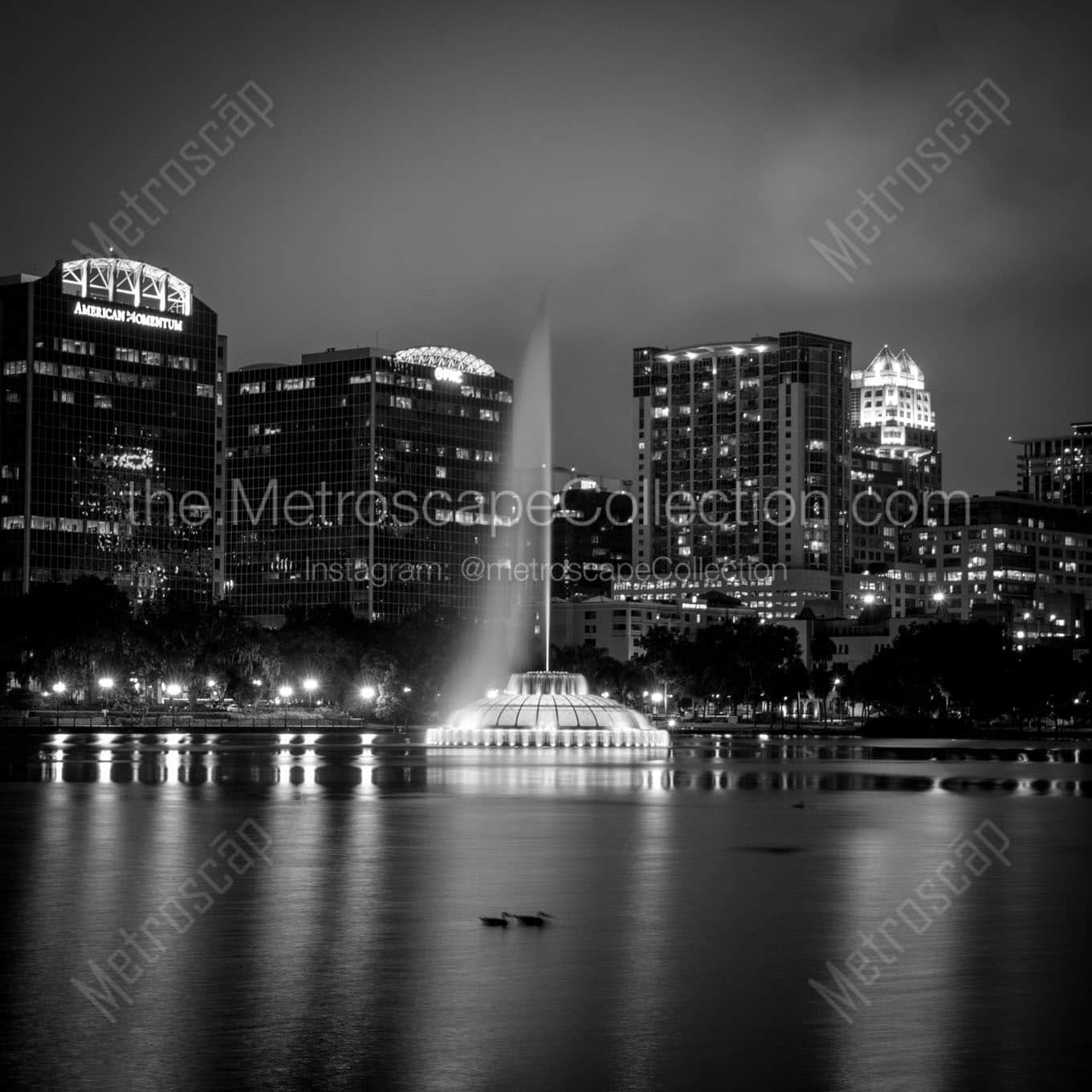 orlando skyline lake eola at night Black & White Office Art