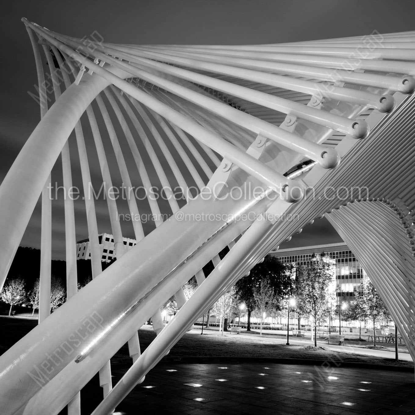 outdoor stage myriad botanical gardens Black & White Office Art