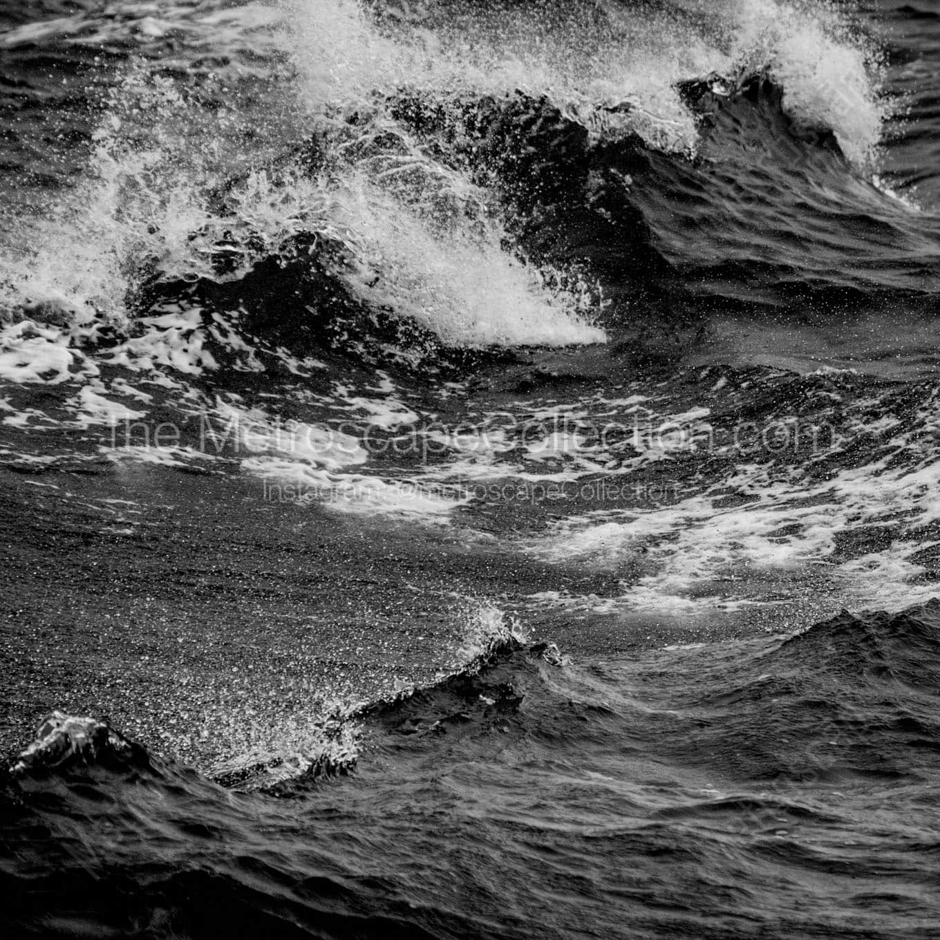 pacific ocean waves Black & White Office Art