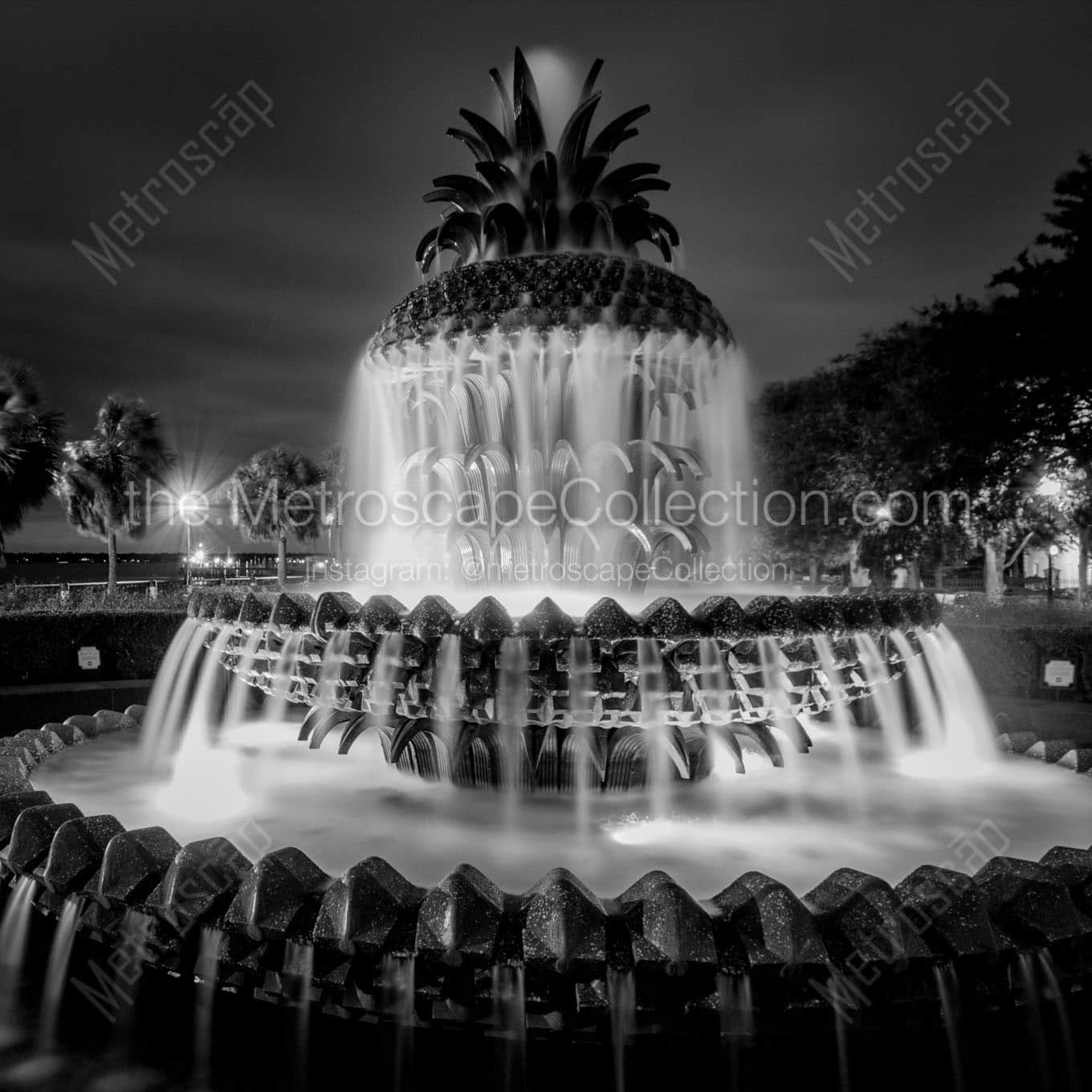pineapple fountain charleston sc at night Black & White Office Art