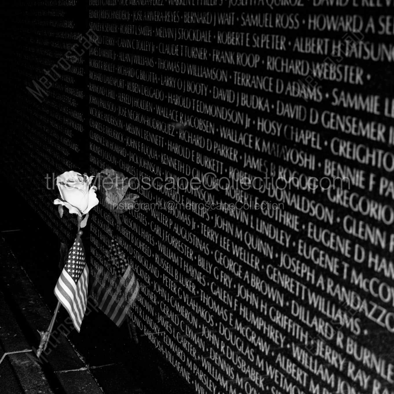 rose and flag on vietnam wall Black & White Office Art