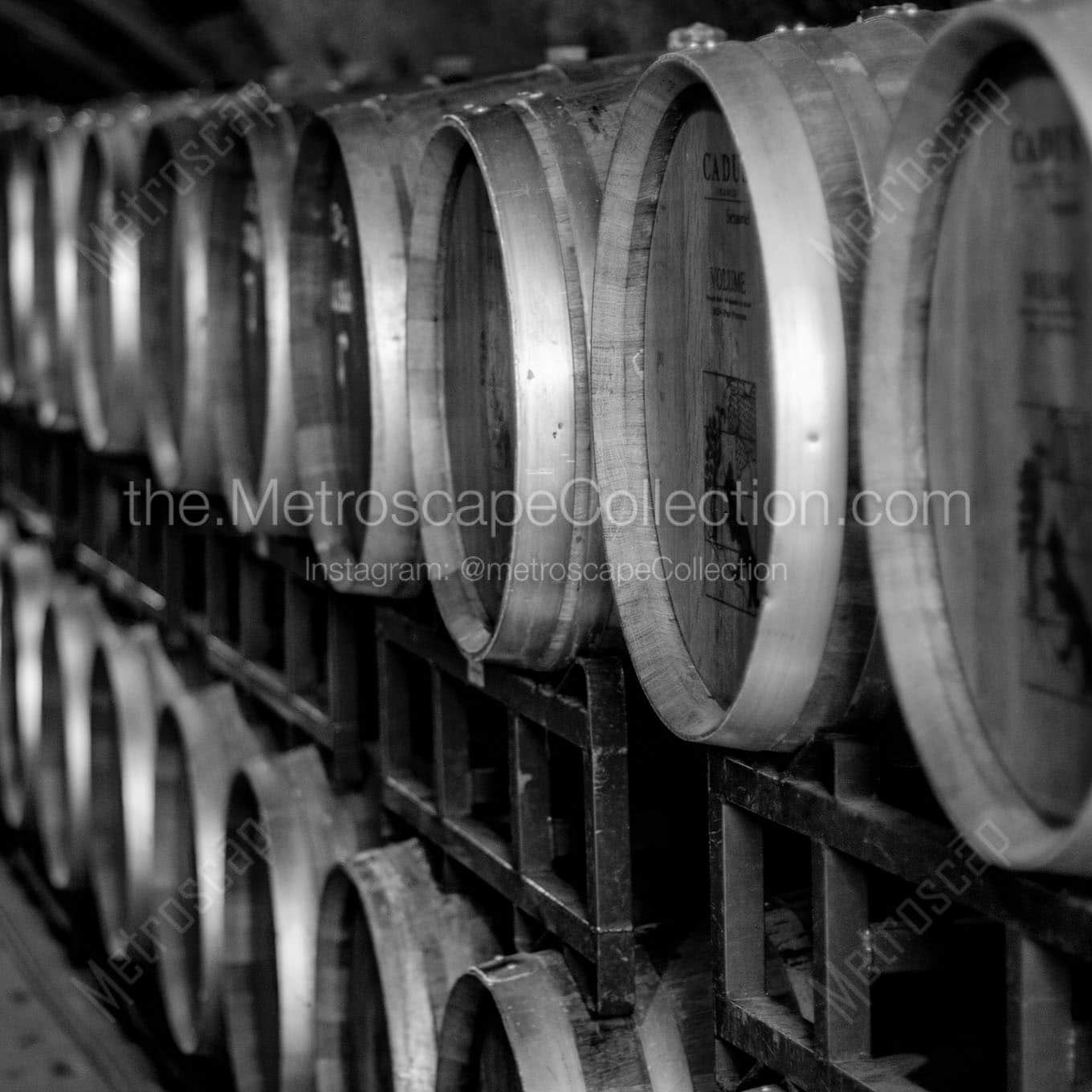 rows of wine barrels Black & White Office Art