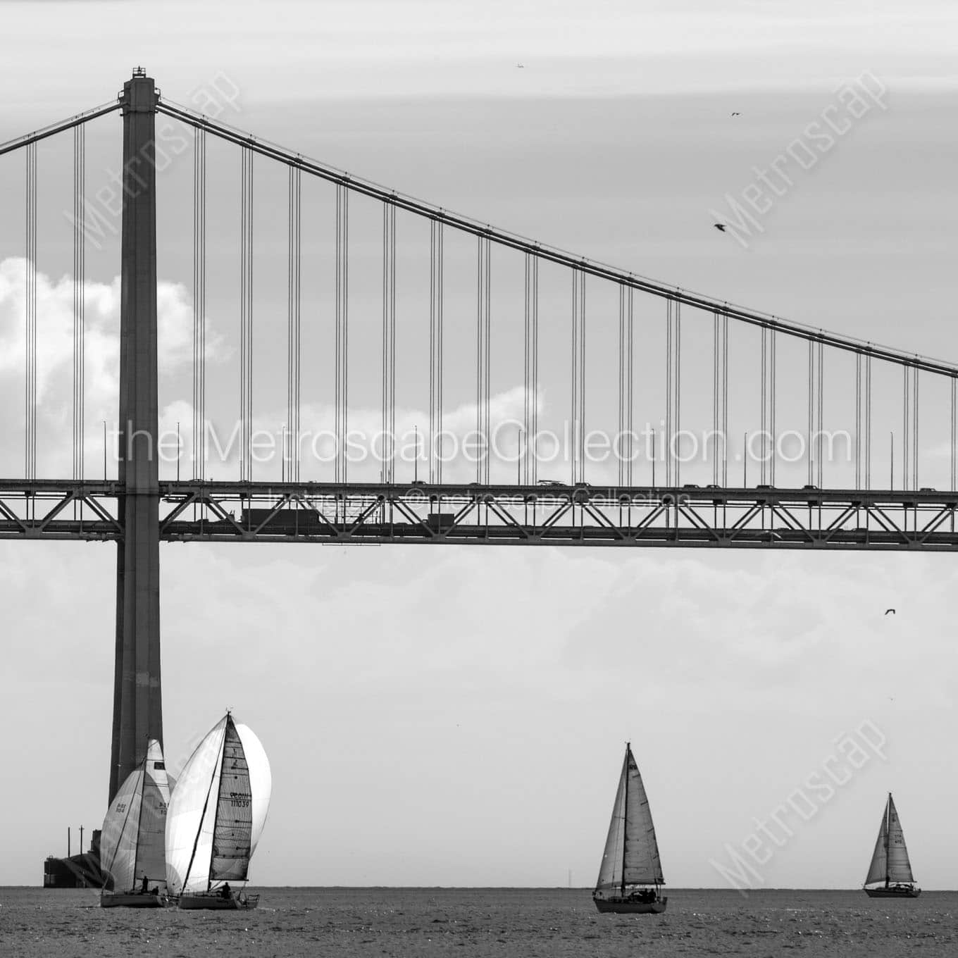 sail boats under sf bay bridge Black & White Office Art