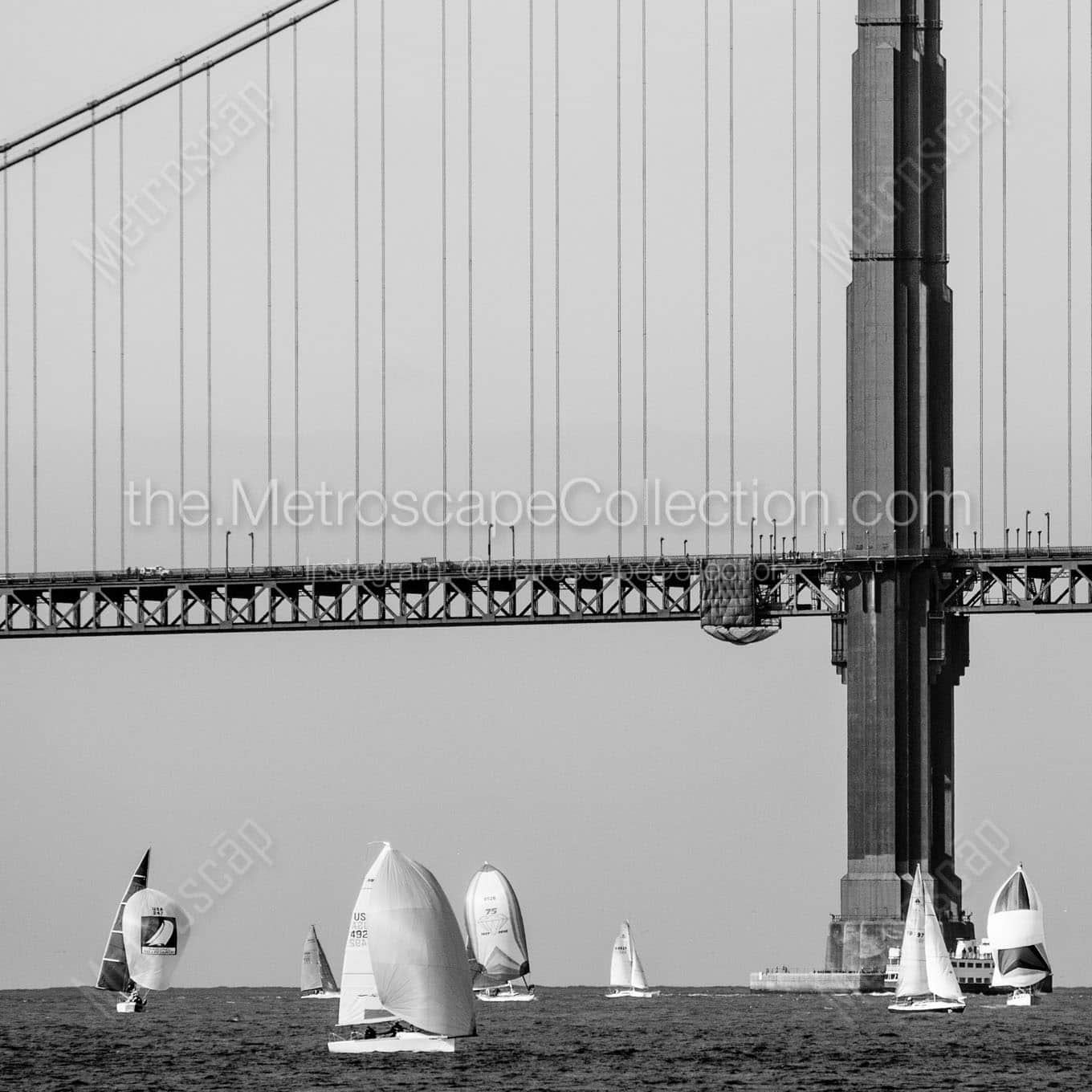sailing around golden gate bridge Black & White Office Art