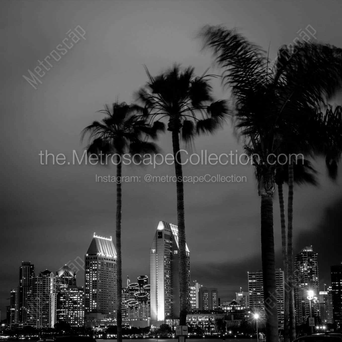 san diego skyline palm trees Black & White Office Art