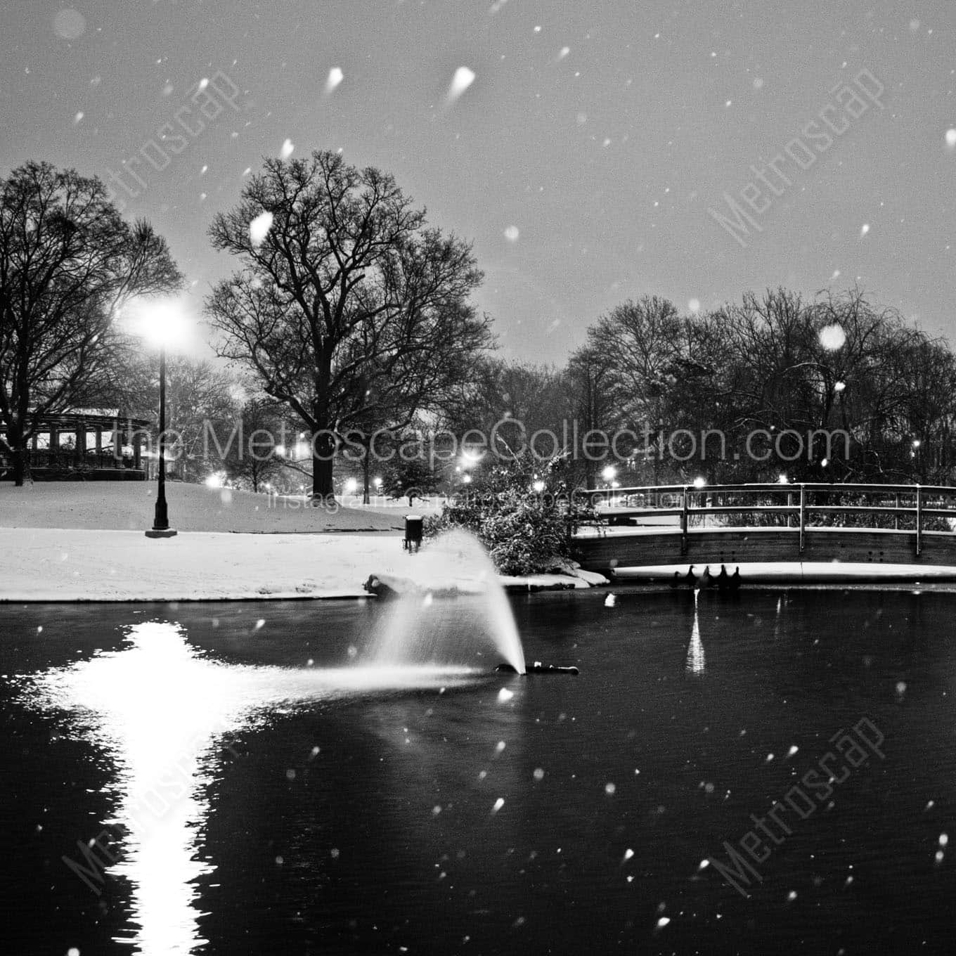 schiller park pond falling snow Black & White Office Art