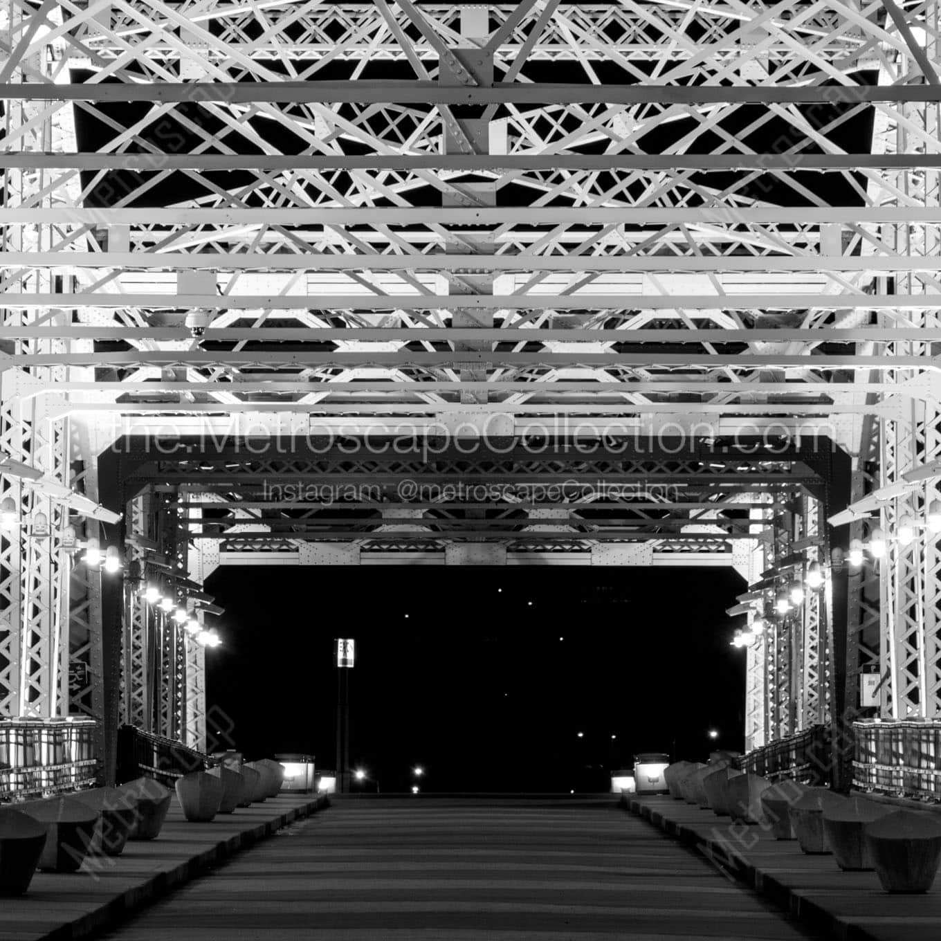 seigenthaler pedeatrian bridge at night Black & White Office Art