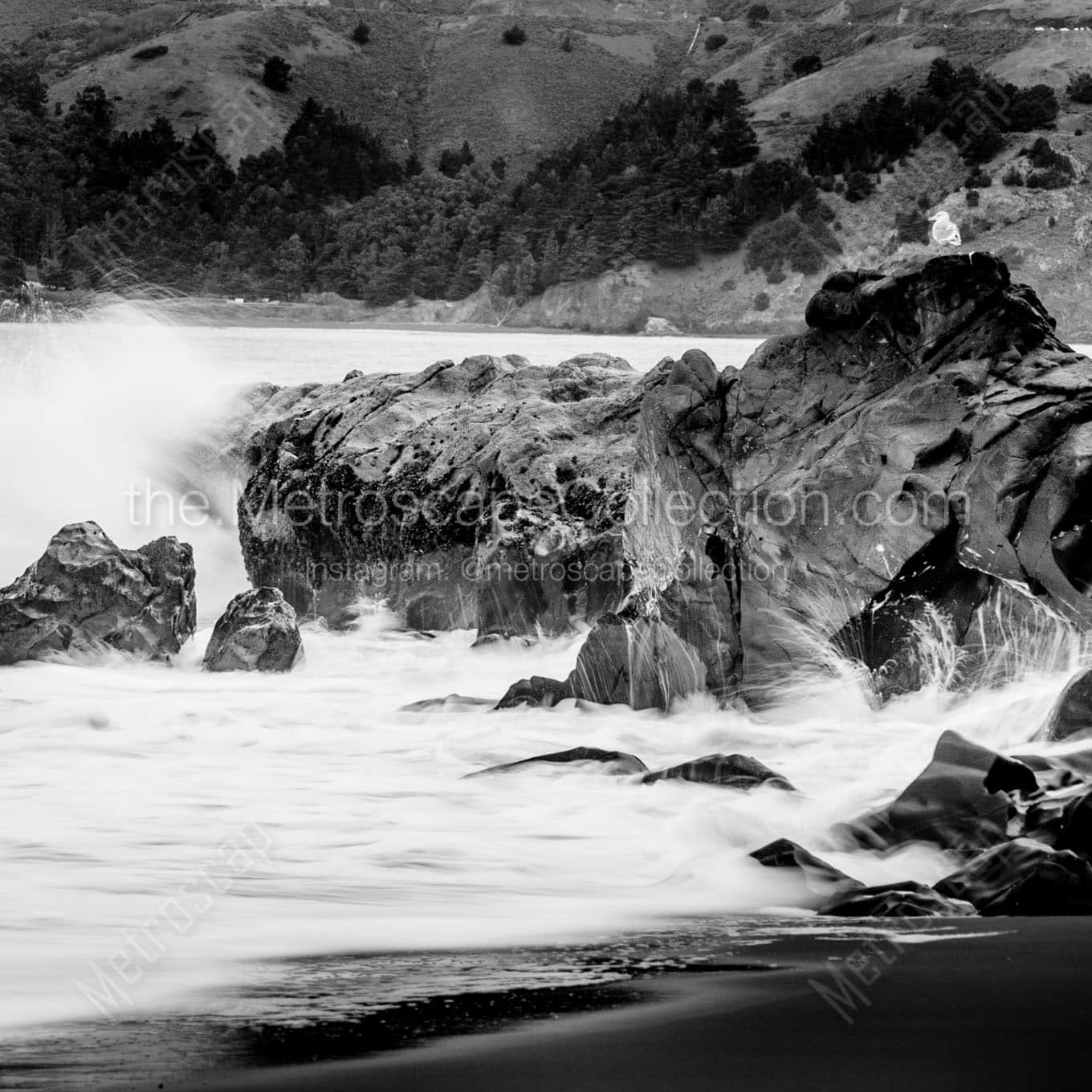 single sea gull on rocks pacific ocean Black & White Office Art