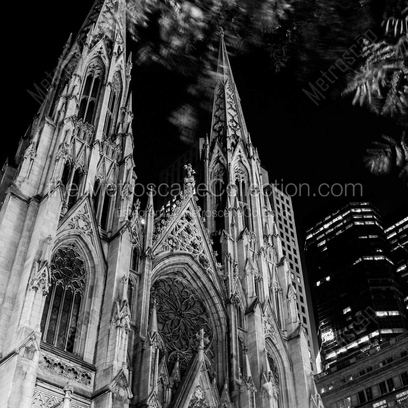 st pats cathedral at night Black & White Office Art