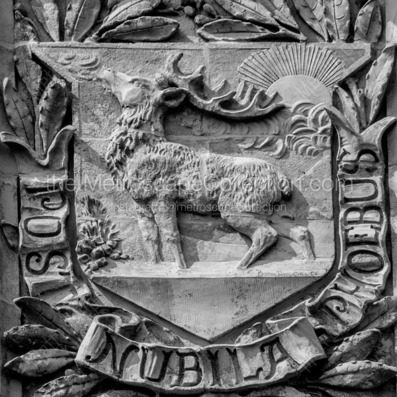 stag relief soldiers sailors memorial arch hartford connecticut Black & White Office Art