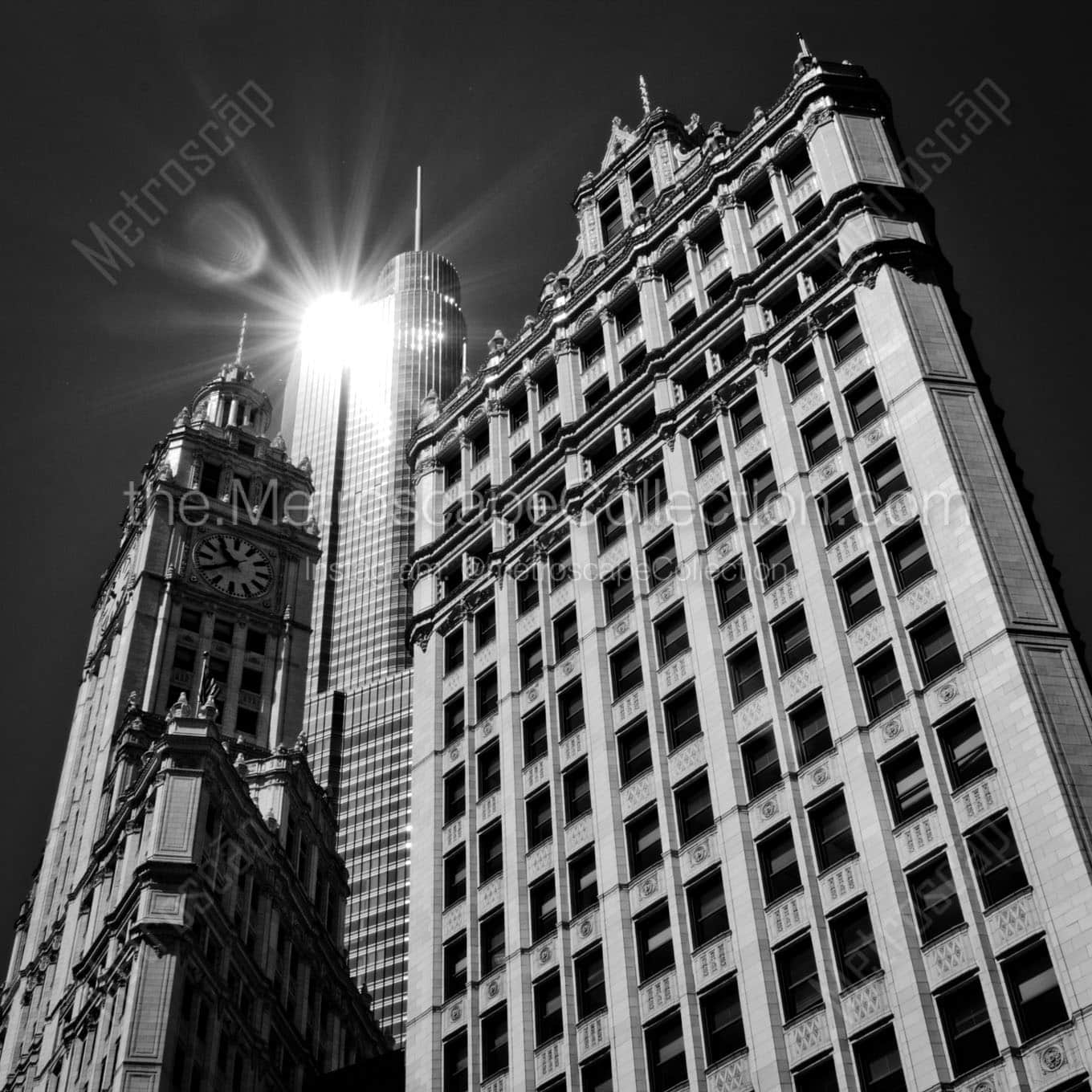 sun reflection off trump tower over wrigley building Black & White Office Art