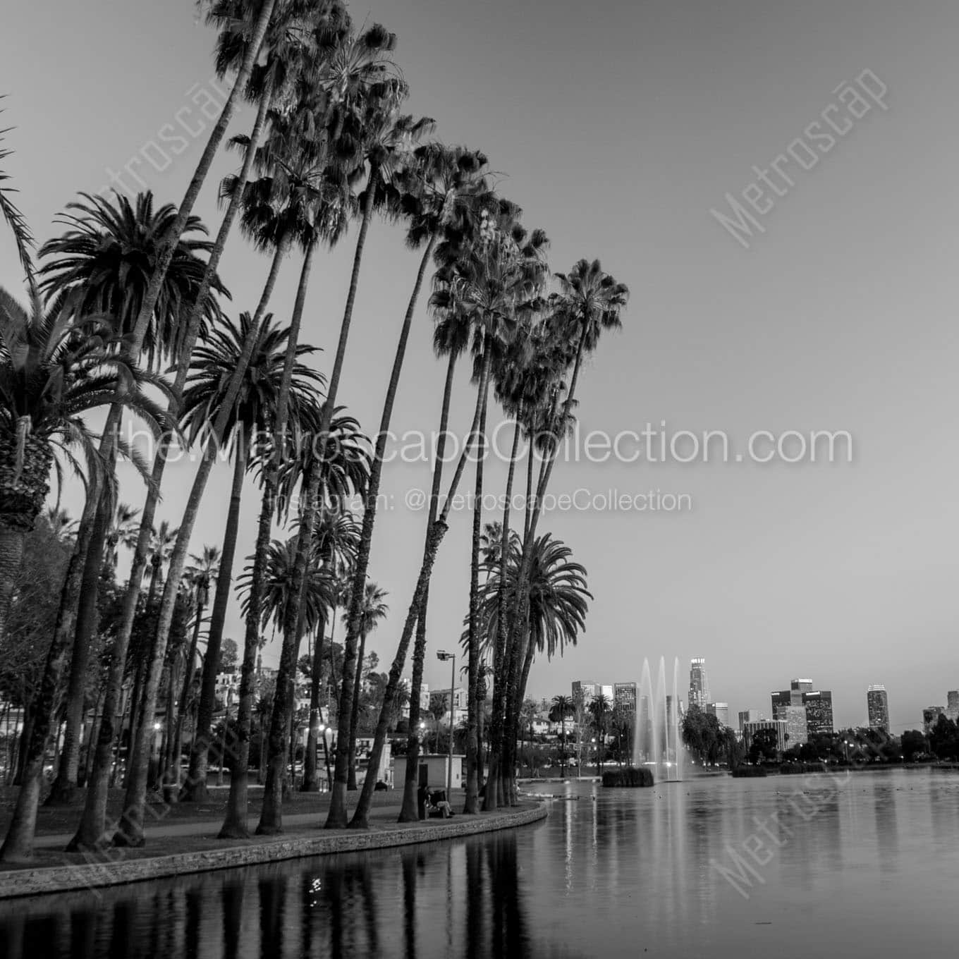 tall palm trees echo park Black & White Office Art