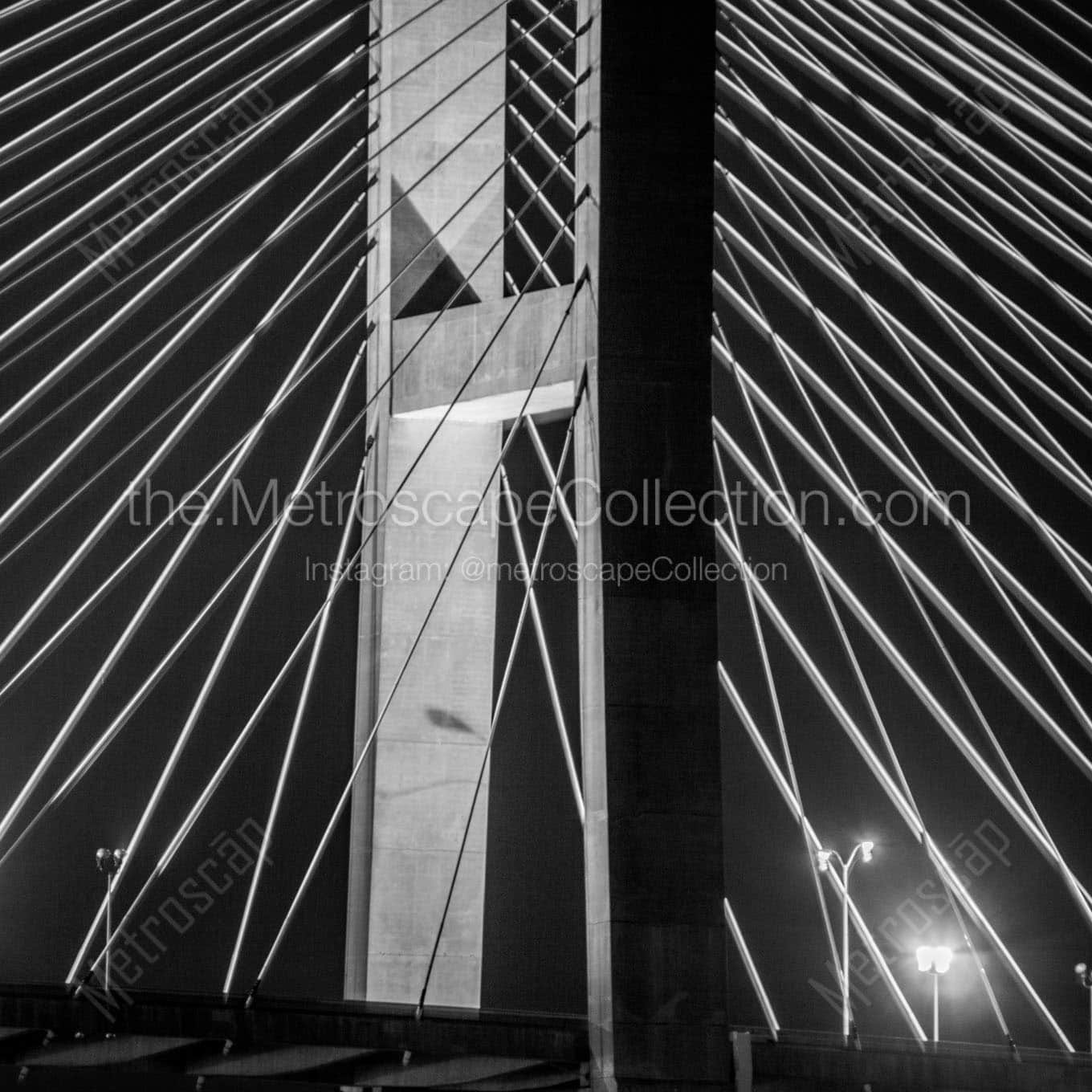 talmadge bridge cables Black & White Office Art