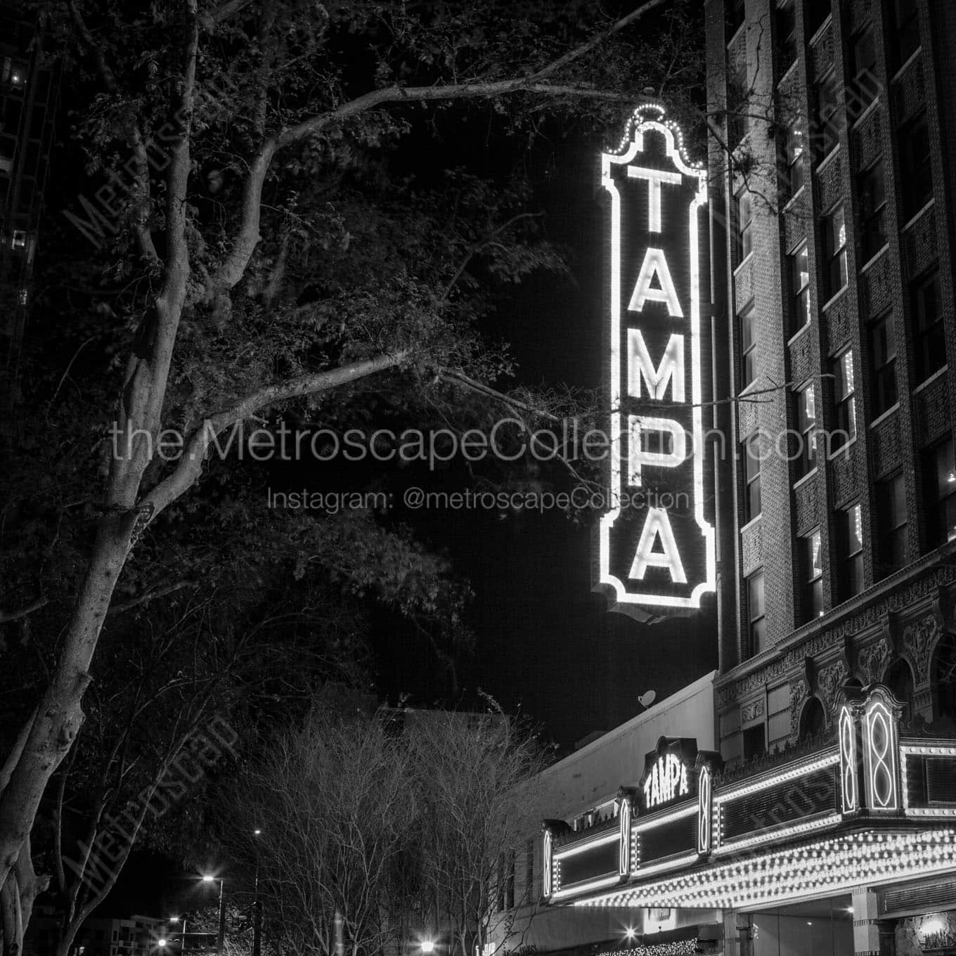 tampa theater at night Black & White Office Art