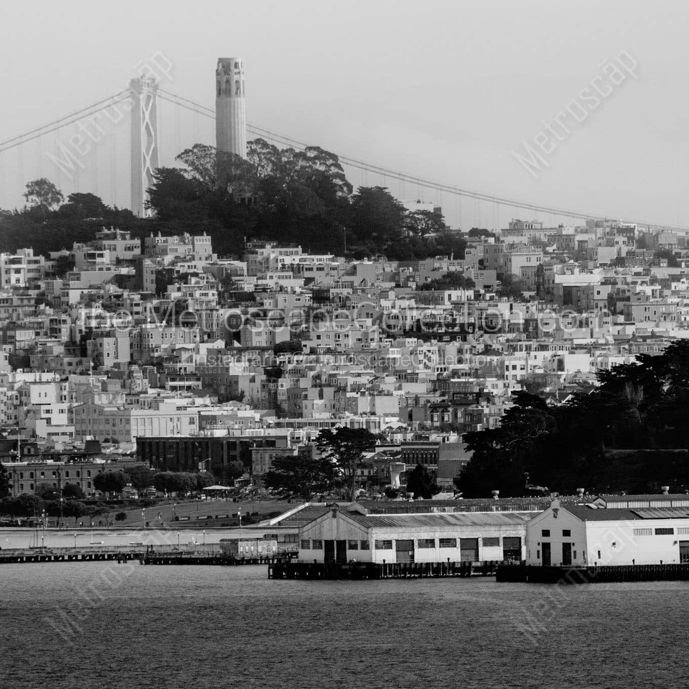 telegraph hill coit tower bay bridge Black & White Office Art