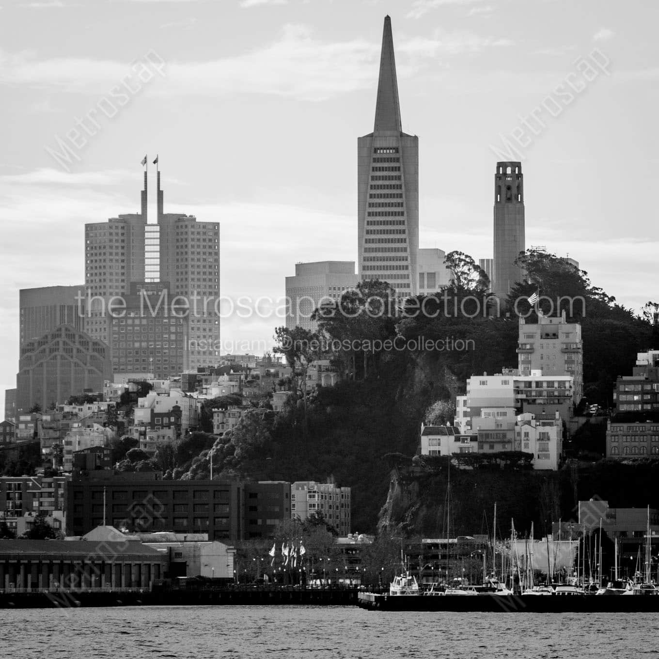 telegraph hill san francisco skyline Black & White Office Art