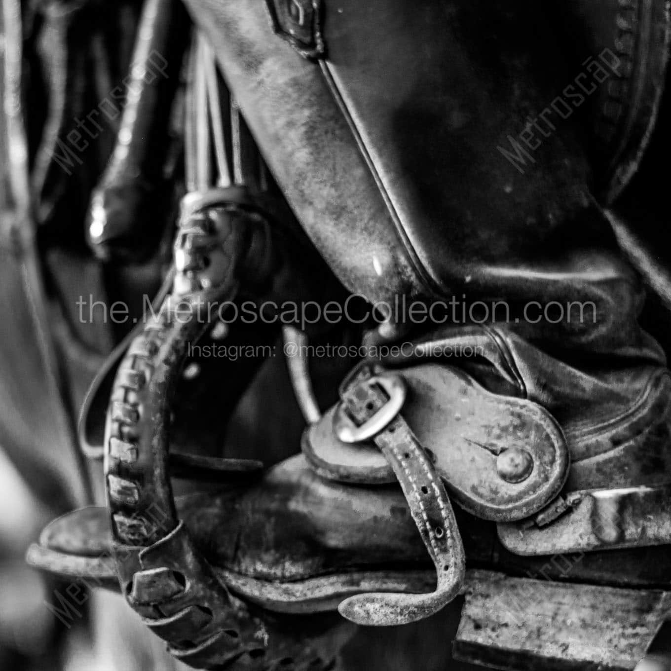 texas cowboy boot in stirrup Black & White Wall Art