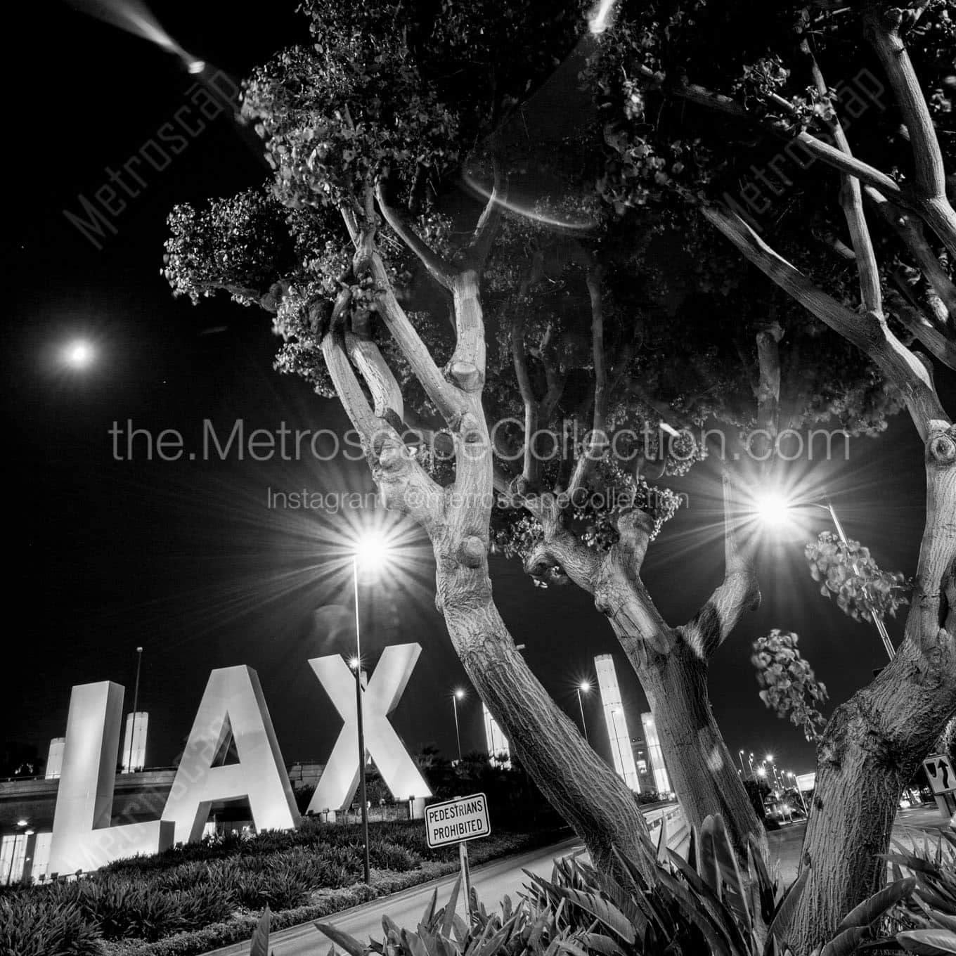 the lax sign at night Black & White Office Art
