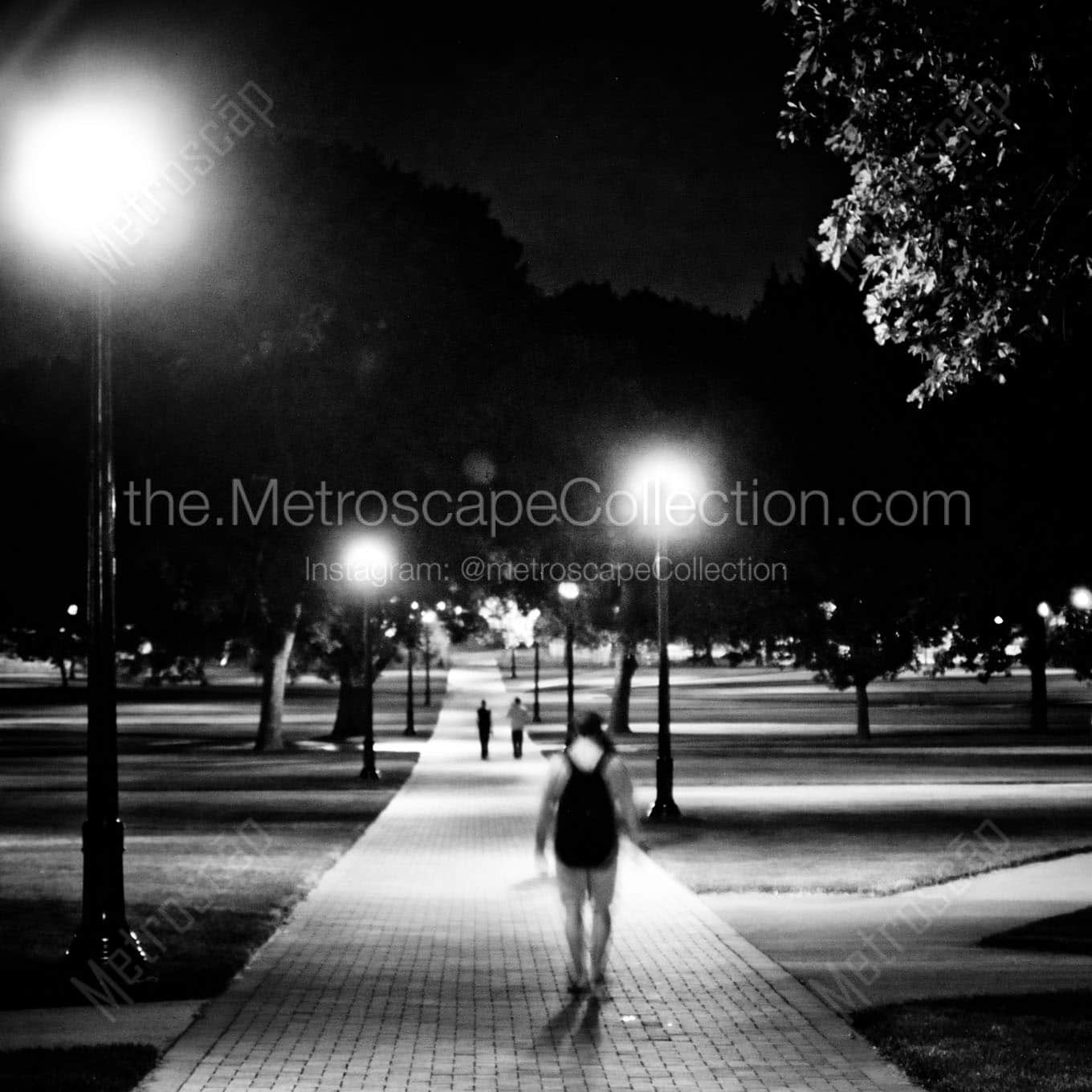 the oval osu campus at night Black & White Office Art