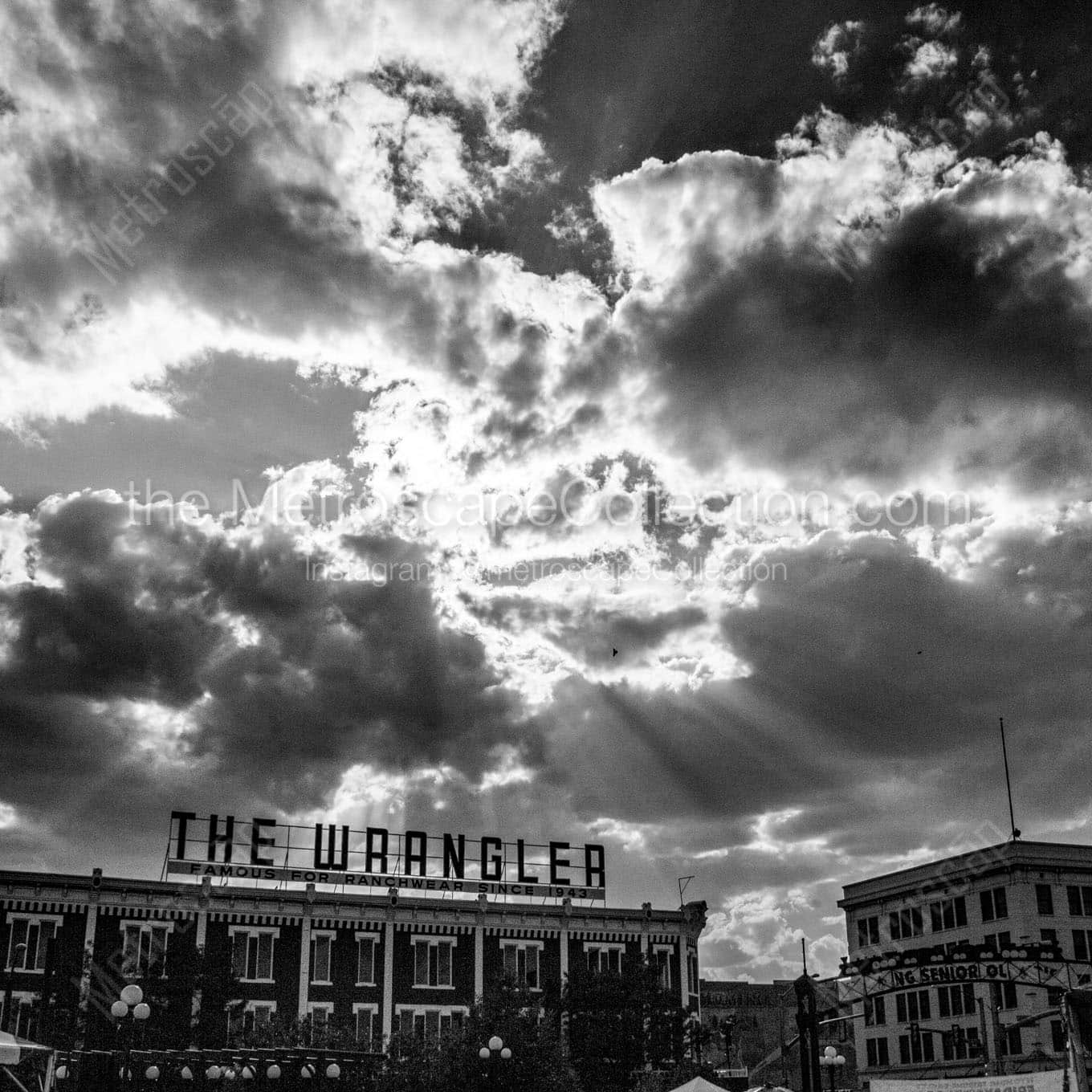 the wrangler in downtown cheyenne Black & White Office Art