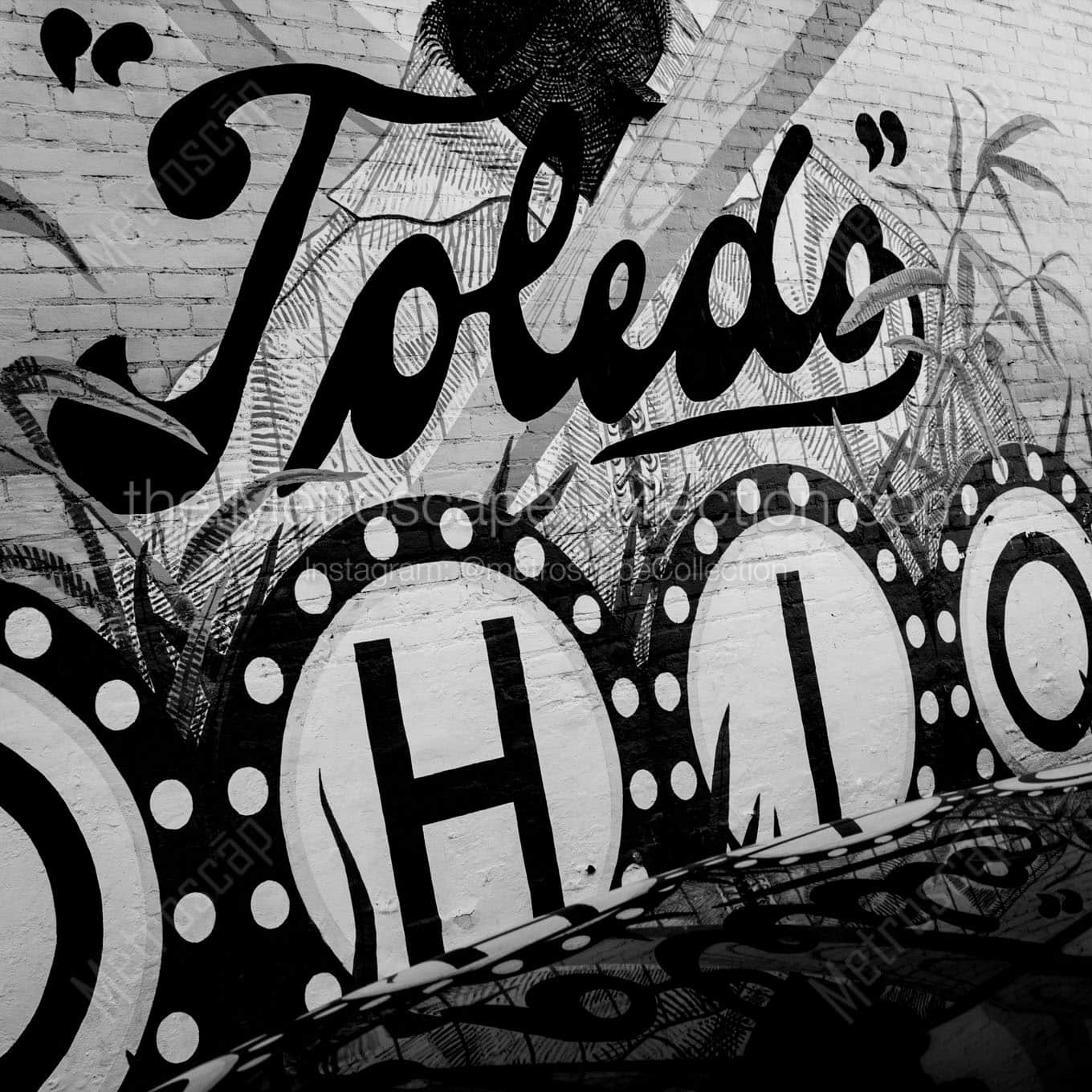toledo ohio wall mural Black & White Office Art