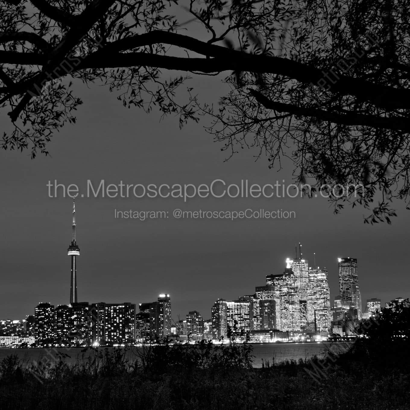toronto skyline at night Black & White Office Art