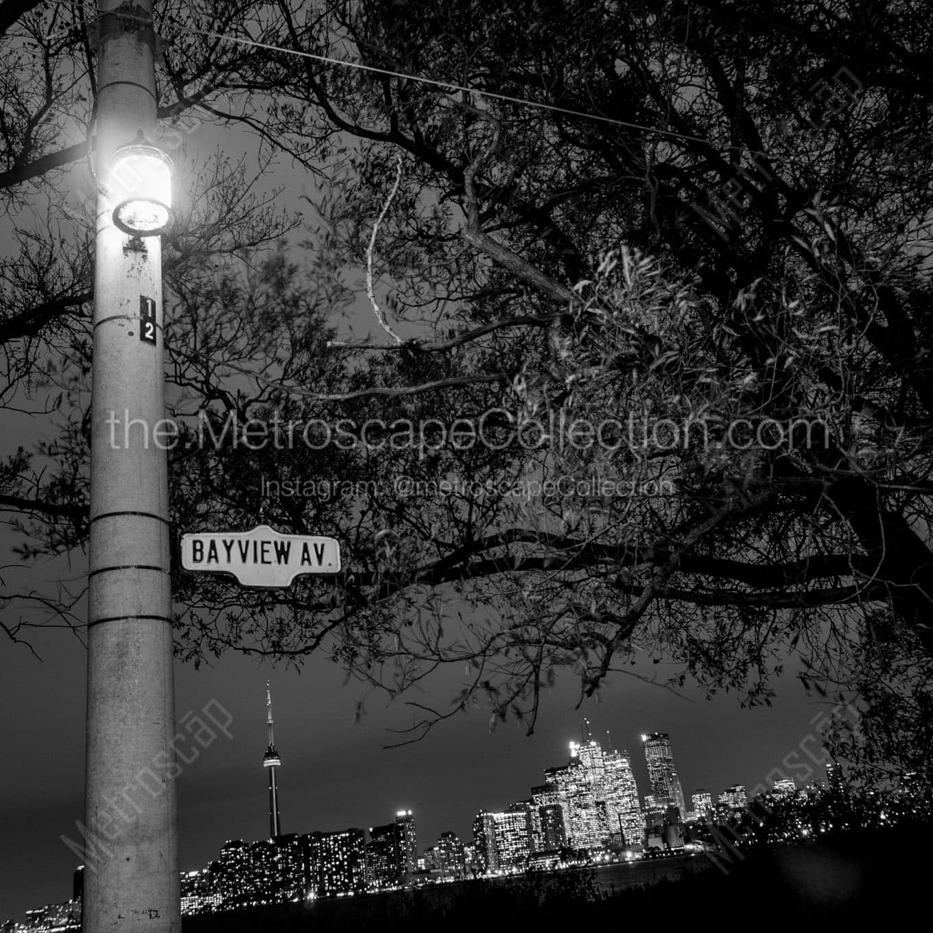 toronto skyline at night Black & White Office Art