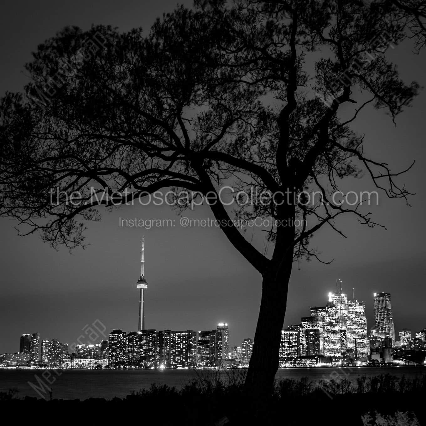 toronto skyline wards island Black & White Office Art