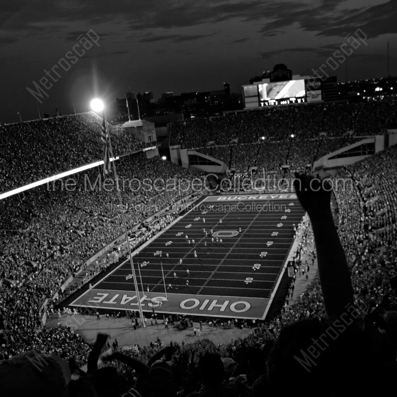 touchdown ohio state Black & White Office Art