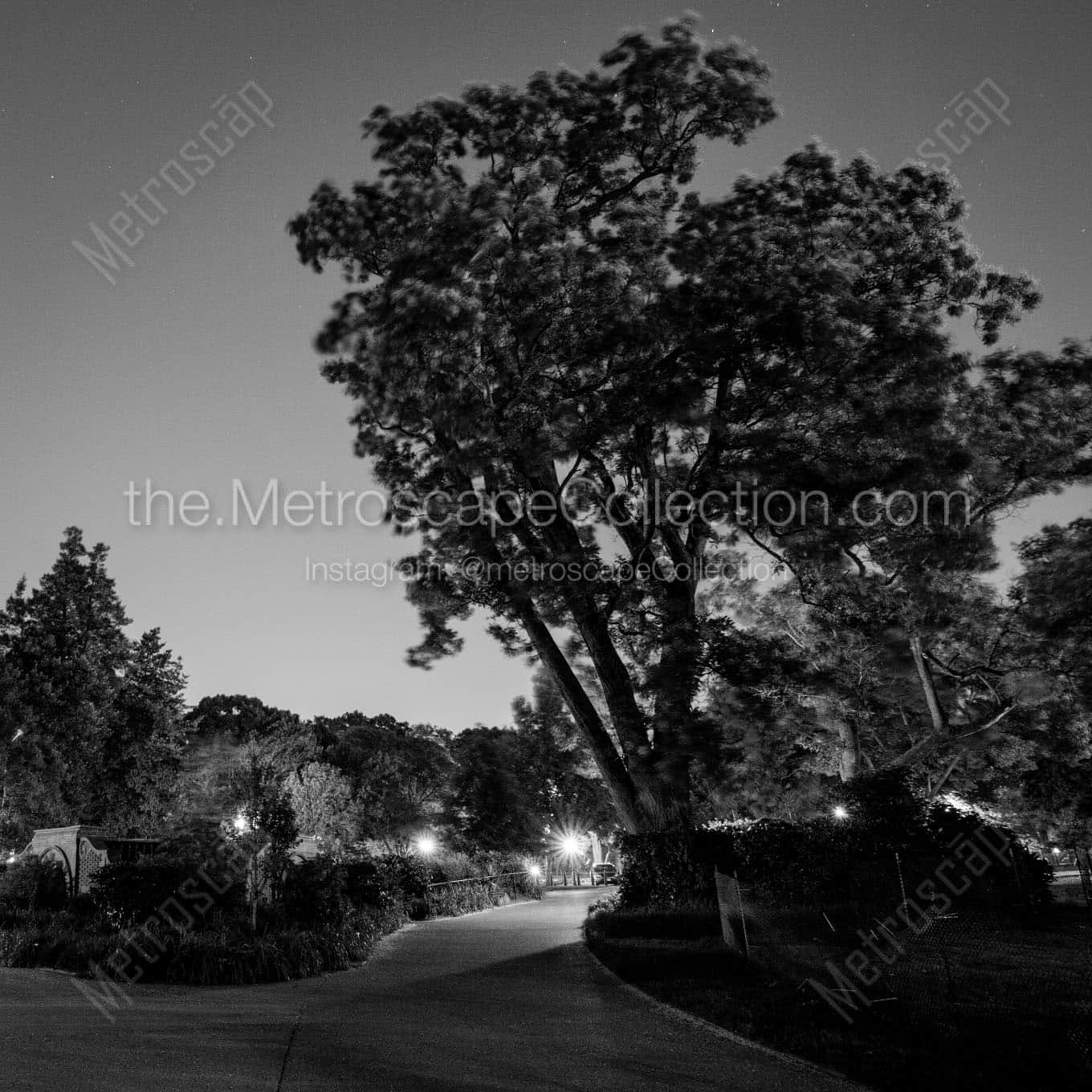 walking path us capitol building Black & White Office Art