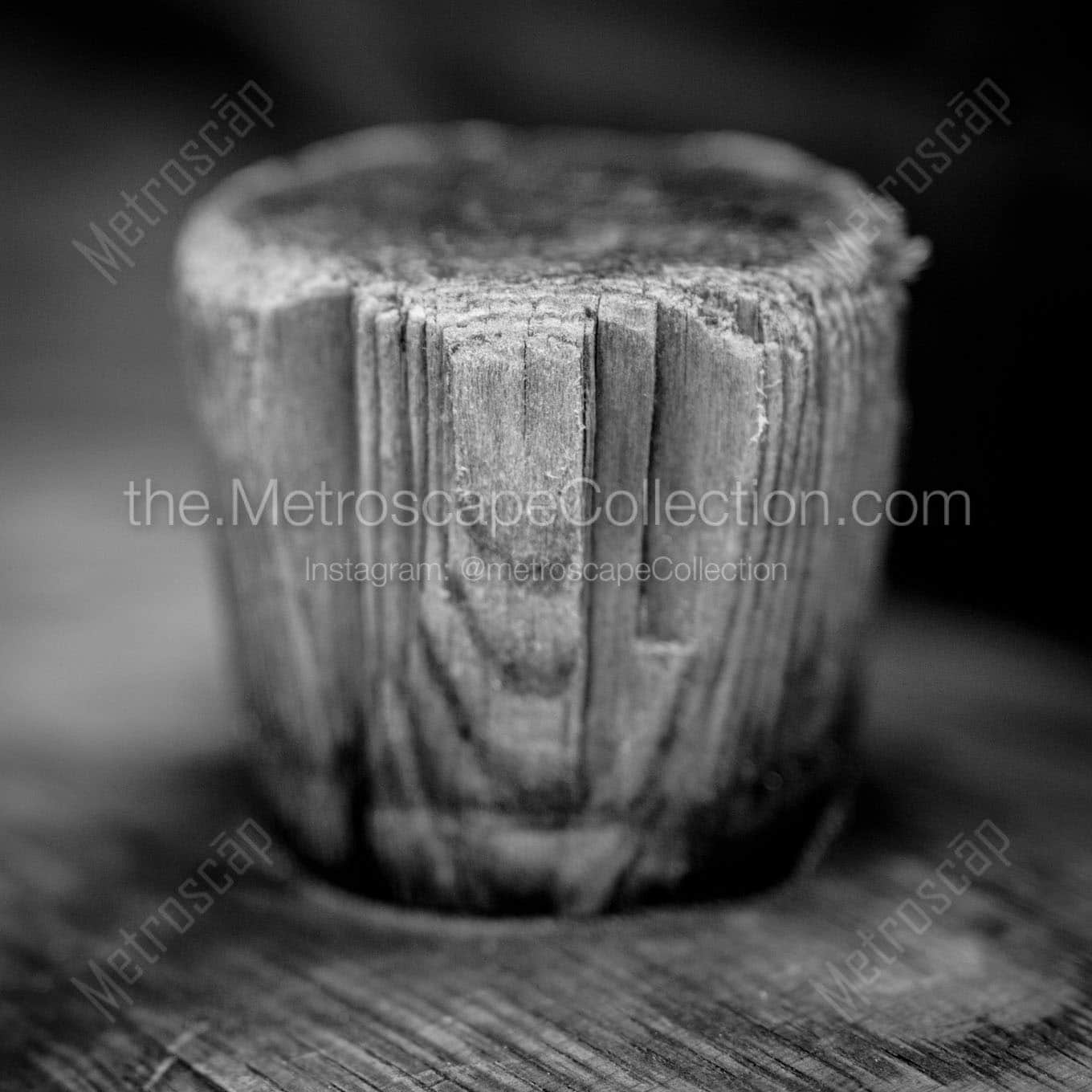 wine barrel bung Black & White Office Art