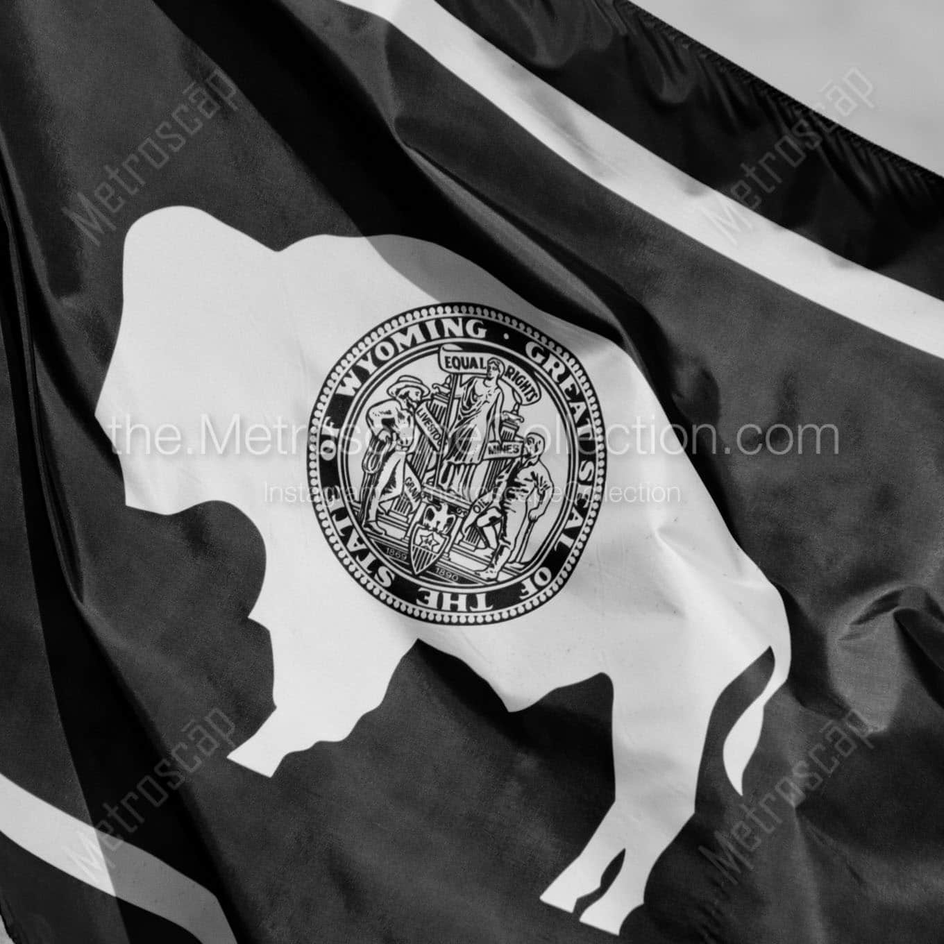 wyoming flag Black & White Office Art