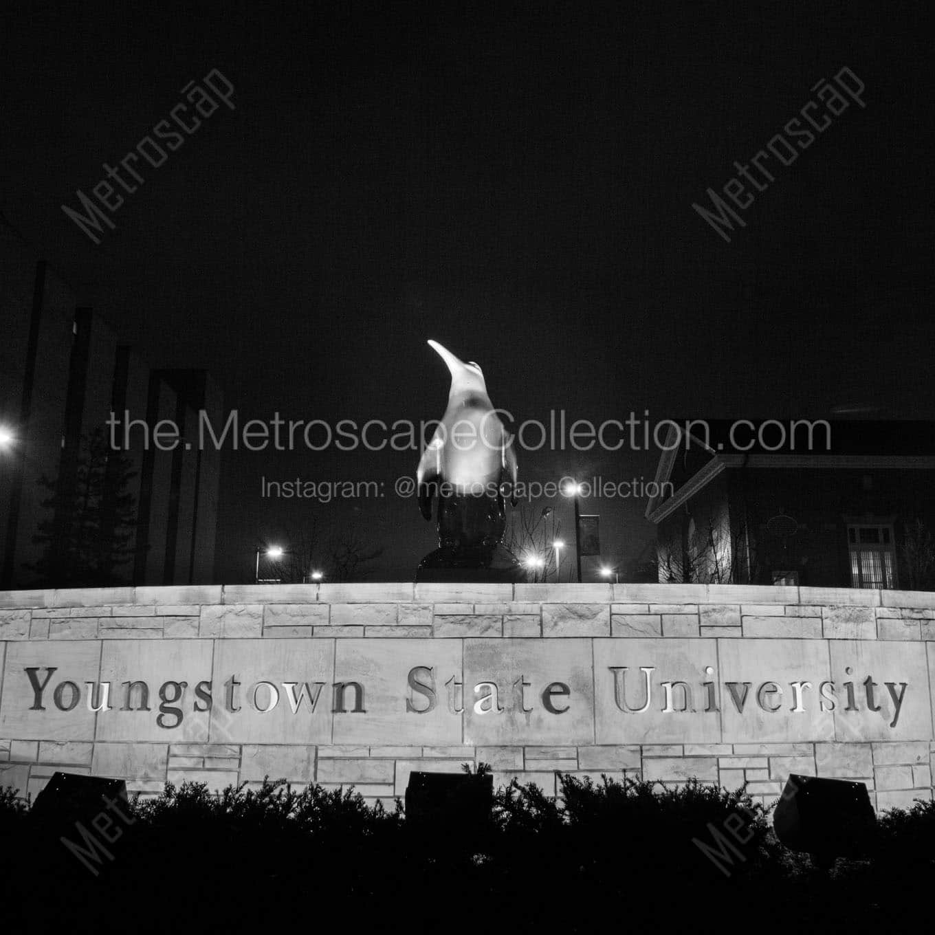 youngstown state university sign at night Black & White Office Art